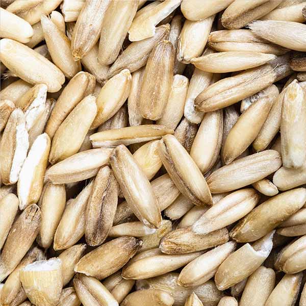Oat Synthetic Avenanthramides