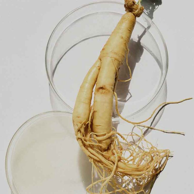panax ginseng root extract (ginsenosides)