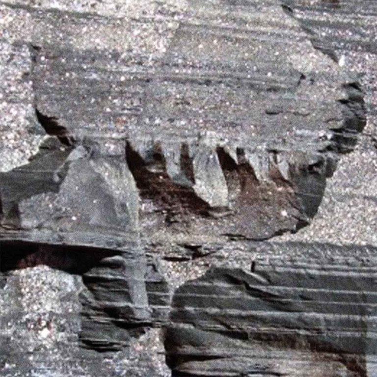zinc pca